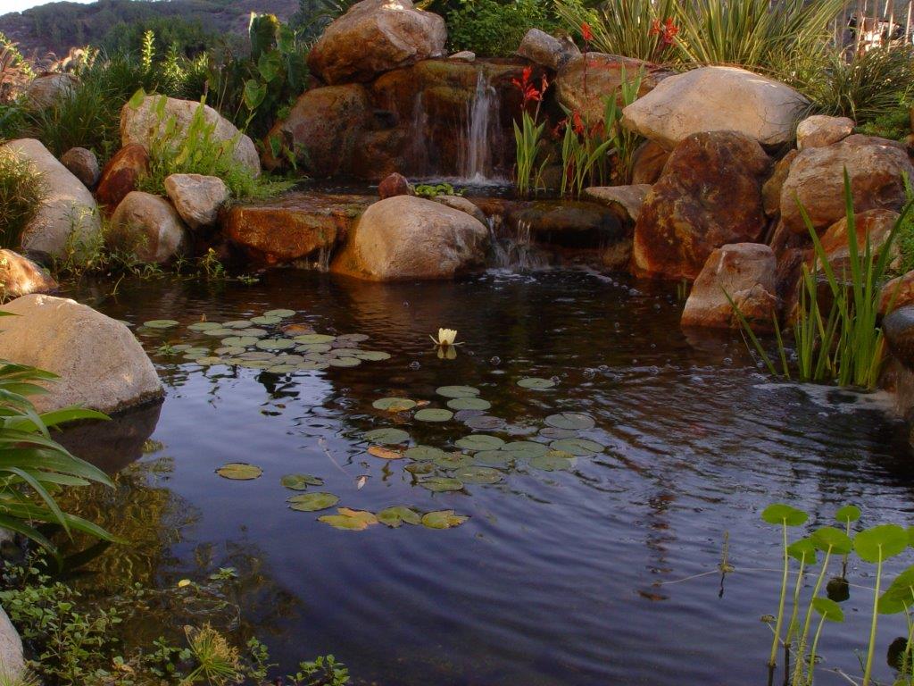 Water Garden