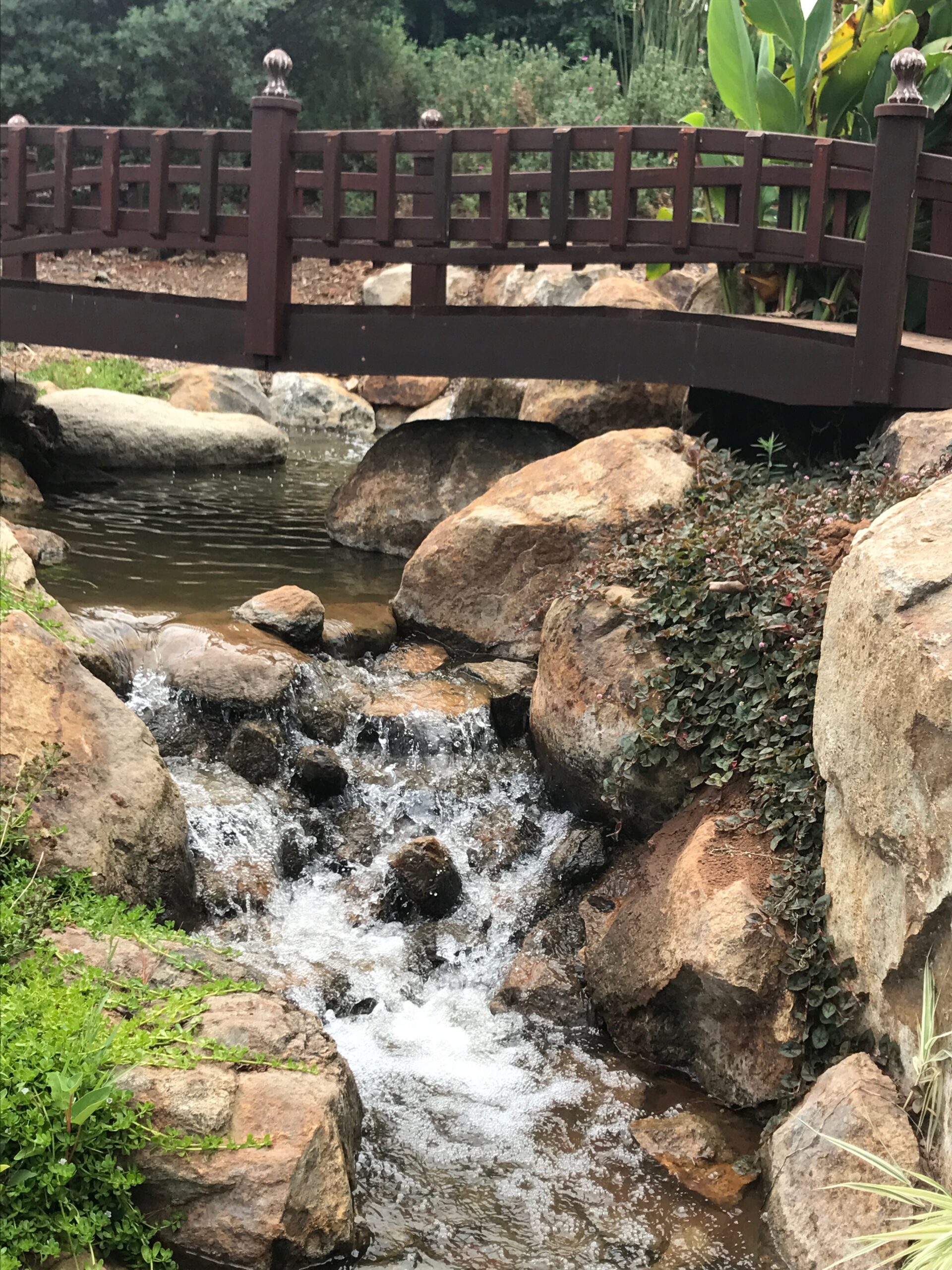 Streams