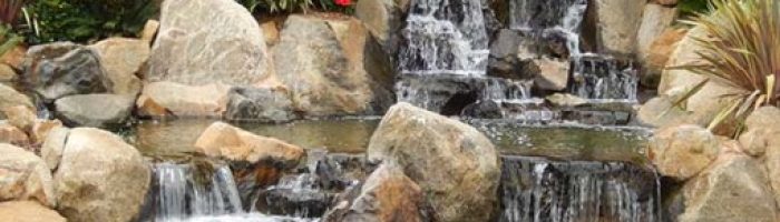 Explore Ponds & Waterfalls Explore Ponds & Waterfalls